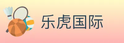 乐虎国际 logo